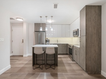 771 Harrison Ave, Boston, Massachusetts, 1 Bedroom Bedrooms, 3 Rooms Rooms,1.5 BathroomsBathrooms,Residential Lease,For Rent,Harrison Ave,73541804