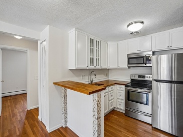 145 Warren St., Watertown, Massachusetts, 2 Bedrooms Bedrooms, 3 Rooms Rooms,1 BathroomBathrooms,Residential,For Sale,Warren St.,73534399