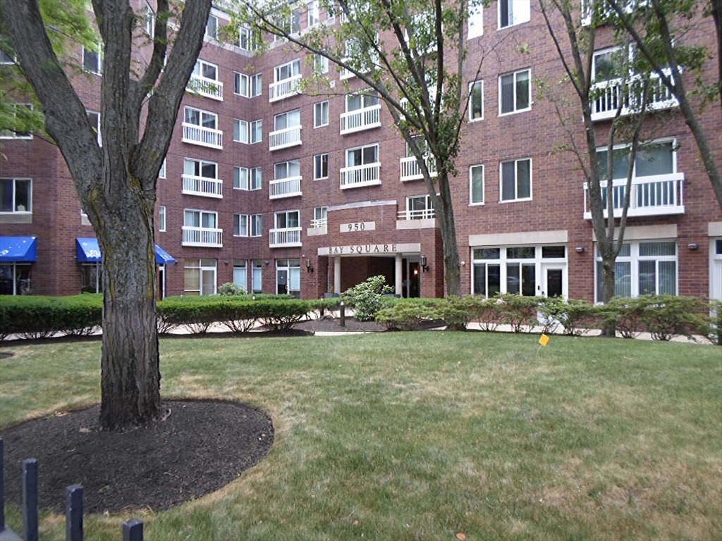 950 Massachusetts Avenue, Cambridge, Massachusetts, 2 Bedrooms Bedrooms, 4 Rooms Rooms,1.5 BathroomsBathrooms,Residential Lease,For Rent,Massachusetts Avenue,73542209
