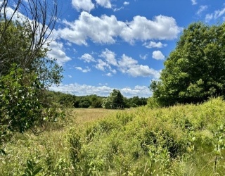 921 Main St, Acushnet, Massachusetts, ,Land,For Sale,Main St,73542483