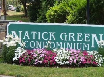 34 Silver Hill, Natick, Massachusetts, 1 Bedroom Bedrooms, 4 Rooms Rooms,1 BathroomBathrooms,Residential Lease,For Rent,Silver Hill,73530726