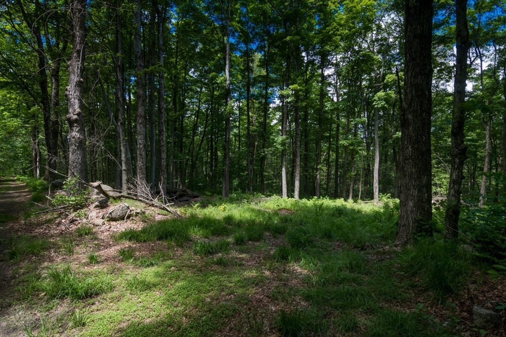 91 Lynes Rd, Chester, Massachusetts, ,Land,For Sale,Lynes Rd,73542747