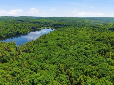 0 Carter Pond Road, Petersham, Massachusetts, ,Land,For Sale,Carter Pond Road,73542773 0 Carter Pond Road, Petersham, Massachusetts, ,Land,For Sale,Carter Pond Road,73542773