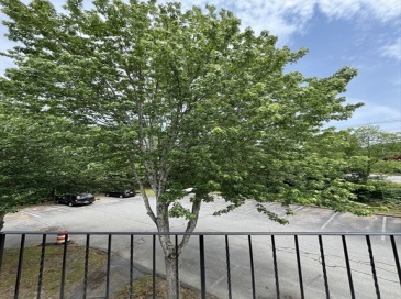 1261 Church, New Bedford, Massachusetts, 2 Bedrooms Bedrooms, 4 Rooms Rooms,1 BathroomBathrooms,Residential,For Sale,Church,73542783 1261 Church, New Bedford, Massachusetts, 2 Bedrooms Bedrooms, 4 Rooms Rooms,1 BathroomBathrooms,Residential,For Sale,Church,73542783