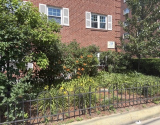 Residential Lease