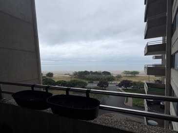 376 Ocean Ave, Revere, Massachusetts, 3 Bedrooms Bedrooms, 7 Rooms Rooms,2 BathroomsBathrooms,Residential Lease,For Rent,Ocean Ave,73542920