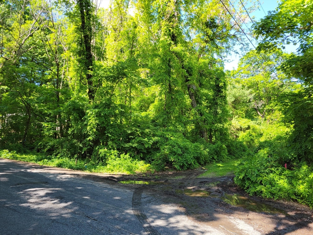 Lot 7 Daniels Rd, Charlton, Massachusetts, ,Land,For Sale,Daniels Rd,73524959