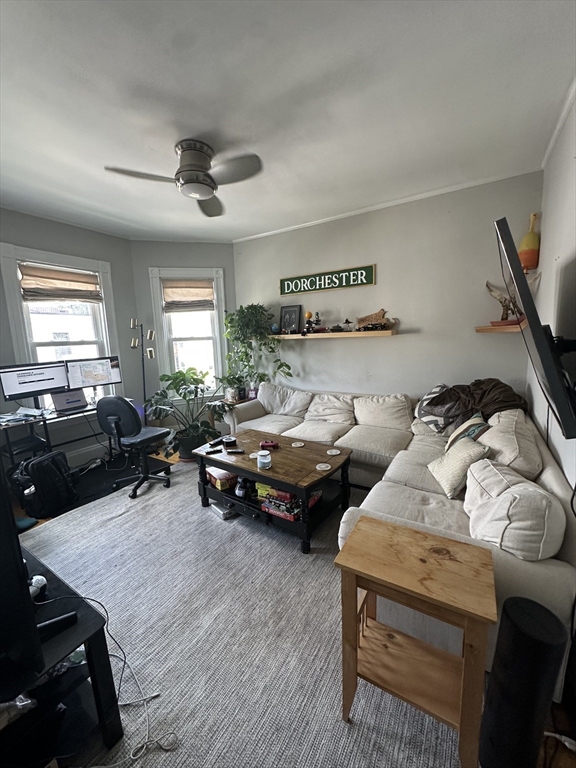 6 Bellflower Street, Boston, Massachusetts, 3 Bedrooms Bedrooms, 5 Rooms Rooms,1.5 BathroomsBathrooms,Residential Lease,For Rent,Bellflower Street,73543134