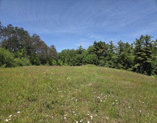 Lot 12B Willard Road, Ashburnham, Massachusetts, ,Land,For Sale,Willard Road,73531817