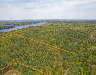 0 Curtis Hall Rd, Blandford, Massachusetts, ,Land,For Sale,Curtis Hall Rd,73376838