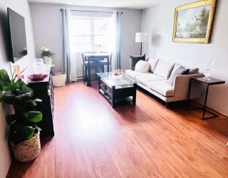 Residential Lease