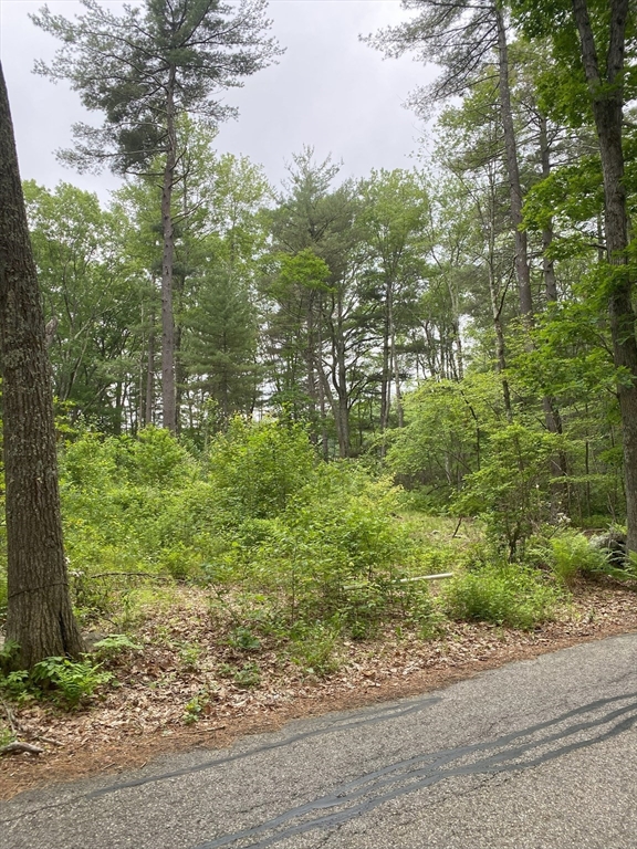 0 I Capen, Spencer, Massachusetts, ,Land,For Sale,I Capen,73387965