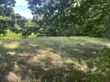 Lot 0 Mason Rd, Ashby, Massachusetts, ,Land,For Sale,Mason Rd,73543779 Lot 0 Mason Rd, Ashby, Massachusetts, ,Land,For Sale,Mason Rd,73543779