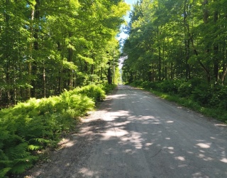 lot1 Holcomb Road, Chester, Massachusetts, ,Land,For Sale,Holcomb Road,73543989