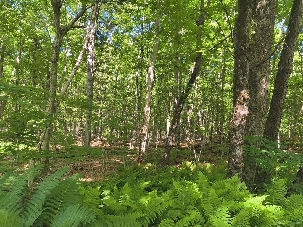 lot 2 Holcomb Road, Chester, Massachusetts, ,Land,For Sale,Holcomb Road,73543991