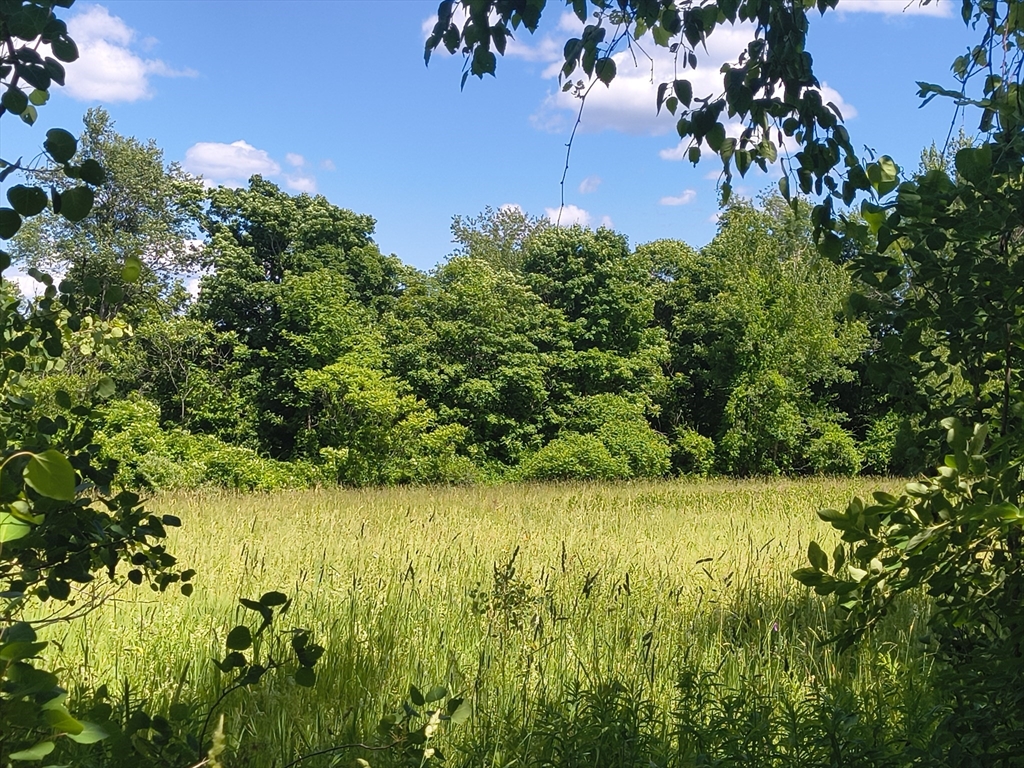 lot 4 Holcomb Road, Chester, Massachusetts, ,Land,For Sale,Holcomb Road,73543999