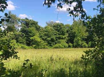 lot 4 Holcomb Road, Chester, Massachusetts, ,Land,For Sale,Holcomb Road,73543999 lot 4 Holcomb Road, Chester, Massachusetts, ,Land,For Sale,Holcomb Road,73543999