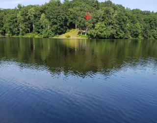 20 Litchfield Ave, Norfolk, Massachusetts, 2 Bedrooms Bedrooms, 5 Rooms Rooms,1 BathroomBathrooms,Residential,For Sale,Litchfield Ave,73544130