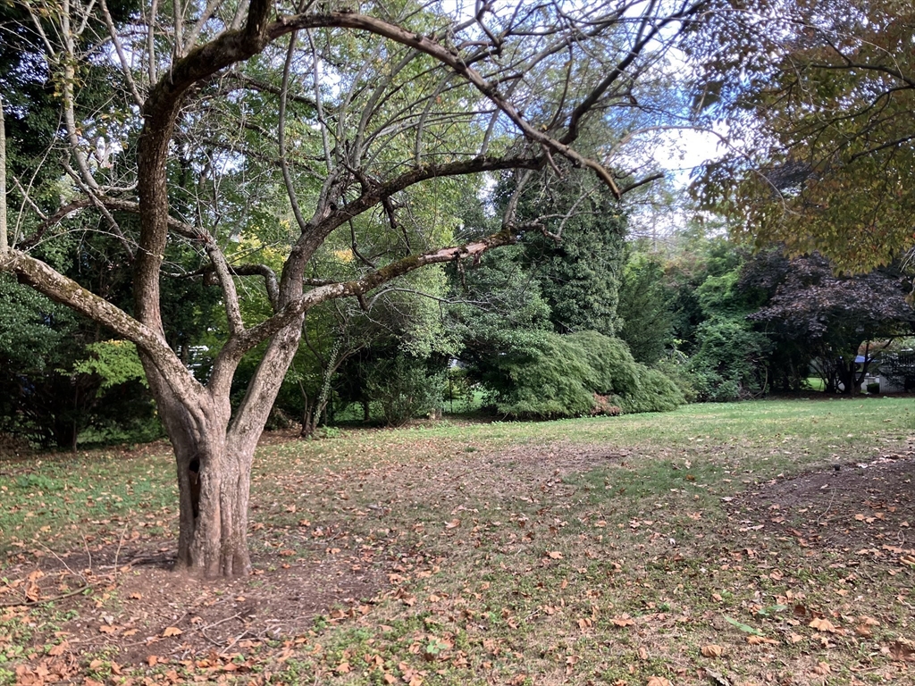 0 Glenoe Rd, Brookline, Massachusetts, ,Land,For Sale,Glenoe Rd,73442008
