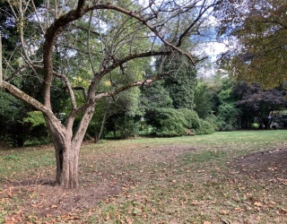 0 Glenoe Rd, Brookline, Massachusetts, ,Land,For Sale,Glenoe Rd,73442008