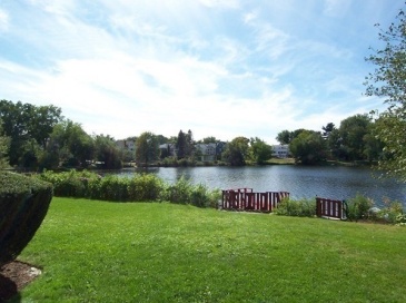 20 Hamilton Road, Arlington, Massachusetts, 1 Bedroom Bedrooms, 3 Rooms Rooms,1 BathroomBathrooms,Residential Lease,For Rent,Hamilton Road,73541338