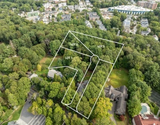 136 Dudley Rd, Newton, Massachusetts, ,Land,For Sale,Dudley Rd,73544252