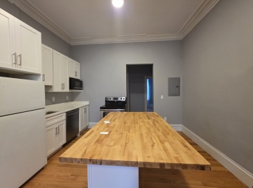 98 Mt Pleasant Ave, Boston, Massachusetts, 1 Bedroom Bedrooms, 2 Rooms Rooms,2 BathroomsBathrooms,Residential Lease,For Rent,Mt Pleasant Ave,73544427