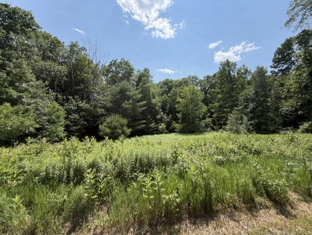 25 Deer Run, Becket, Massachusetts, ,Land,For Sale,Deer Run,73544436