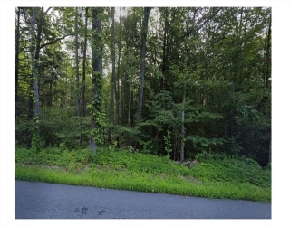 0 Pantry Rd, Hatfield, Massachusetts, ,Land,For Sale,Pantry Rd,73544437