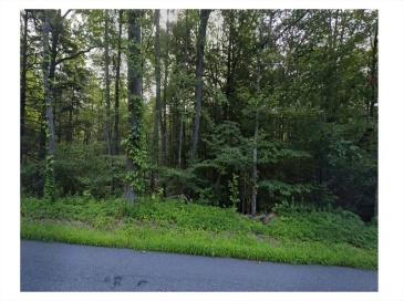 0 Pantry Rd, Hatfield, Massachusetts, ,Land,For Sale,Pantry Rd,73544437