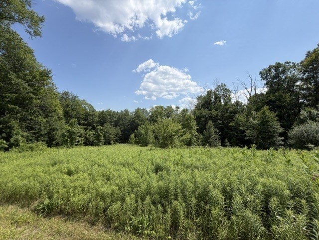 26 Deer Run, Becket, Massachusetts, ,Land,For Sale,Deer Run,73544439