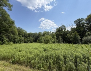 26 Deer Run, Becket, Massachusetts, ,Land,For Sale,Deer Run,73544439