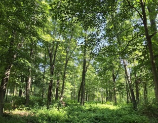 125 Topsfield Rd, Ipswich, Massachusetts, ,Land,For Sale,Topsfield Rd,73544463
