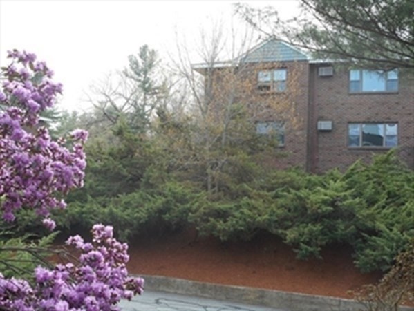 24 Spencer Rd, Boxborough, Massachusetts, 2 Bedrooms Bedrooms, 5 Rooms Rooms,1 BathroomBathrooms,Residential Lease,For Rent,Spencer Rd,73502967
