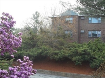 24 Spencer Rd, Boxborough, Massachusetts, 2 Bedrooms Bedrooms, 5 Rooms Rooms,1 BathroomBathrooms,Residential Lease,For Rent,Spencer Rd,73502967