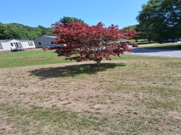 29 Brooks Road Extension, Seabrook, New Hampshire, ,Land,For Sale,Brooks Road Extension,73544491