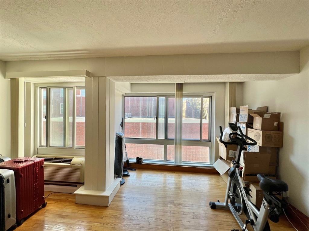 4 Trowbridge Place, Cambridge, Massachusetts, 2 Bedrooms Bedrooms, 4 Rooms Rooms,1 BathroomBathrooms,Residential Lease,For Rent,Trowbridge Place,73527952