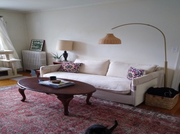 41 Bowdoin Street, Cambridge, Massachusetts, 1 Bedroom Bedrooms, 3 Rooms Rooms,1 BathroomBathrooms,Residential Lease,For Rent,Bowdoin Street,73545084 41 Bowdoin Street, Cambridge, Massachusetts, 1 Bedroom Bedrooms, 3 Rooms Rooms,1 BathroomBathrooms,Residential Lease,For Rent,Bowdoin Street,73545084