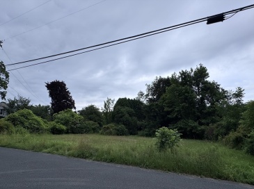 0 Boyden Road, Conway, Massachusetts, ,Land,For Sale,Boyden Road,73545354