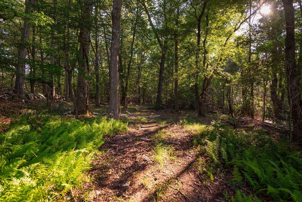 0 Belcher St, Essex, Massachusetts, ,Land,For Sale,Belcher St,73545720