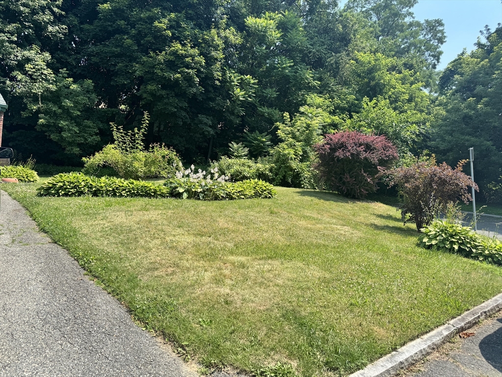 64 Goodrich St, Springfield, Massachusetts, 2 Bedrooms Bedrooms, 5 Rooms Rooms,1 BathroomBathrooms,Residential,For Sale,Goodrich St,73546175
