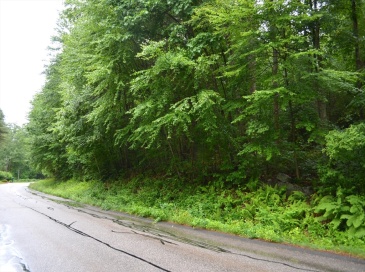 Lot 3 Monson Turnpike Rd, Ware, Massachusetts, ,Land,For Sale,Monson Turnpike Rd,73198937 Lot 3 Monson Turnpike Rd, Ware, Massachusetts, ,Land,For Sale,Monson Turnpike Rd,73198937