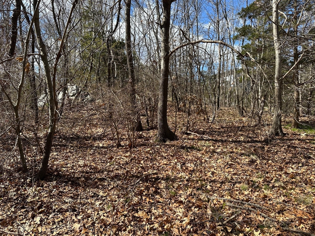 27 Old Pine Island Road, Newbury, Massachusetts, ,Land,For Sale,Old Pine Island Road,73534571