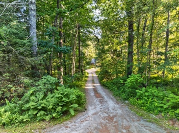 0 Heald Road, Carlisle, Massachusetts, ,Land,For Sale,Heald Road,73546741