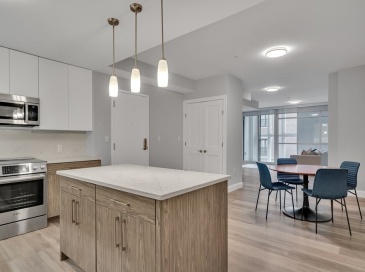 771 Harrison Ave, Boston, Massachusetts, 2 Bedrooms Bedrooms, 6 Rooms Rooms,2.5 BathroomsBathrooms,Residential Lease,For Rent,Harrison Ave,73547087