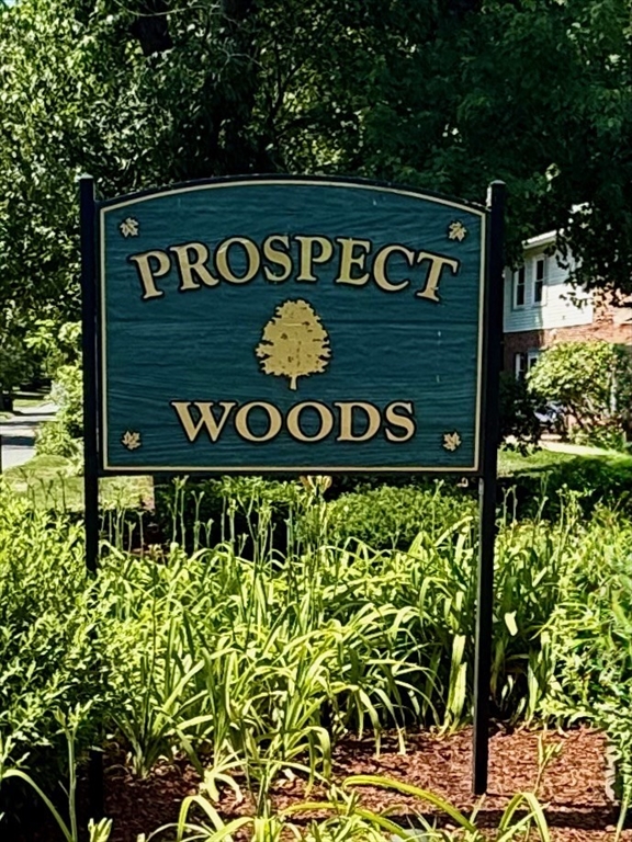 162 Prospect Ave, Northampton, Massachusetts, 2 Bedrooms Bedrooms, 4 Rooms Rooms,1.5 BathroomsBathrooms,Residential,For Sale,Prospect Ave,73547501