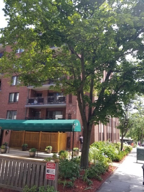 30 Stearns Rd, Brookline, Massachusetts, 2 Bedrooms Bedrooms, 4 Rooms Rooms,1.5 BathroomsBathrooms,Residential Lease,For Rent,Stearns Rd,73547525