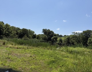 0 Wine Rd, New Braintree, Massachusetts, ,Land,For Sale,Wine Rd,73547662