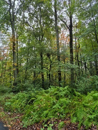 0 Blackmer Rd, Southbridge, Massachusetts, ,Land,For Sale,Blackmer Rd,73547668