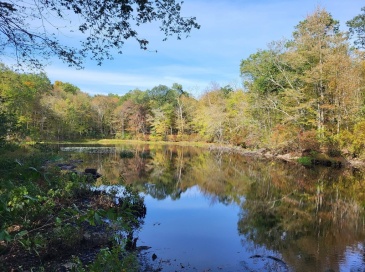 305 Tripp Hollow Rd, Brooklyn, Connecticut, ,Land,For Sale,Tripp Hollow Rd,73547677 305 Tripp Hollow Rd, Brooklyn, Connecticut, ,Land,For Sale,Tripp Hollow Rd,73547677